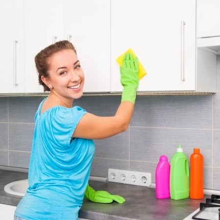 Práce v domácnosti